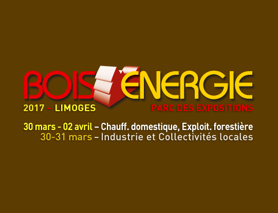 Logo salon Bois Energie