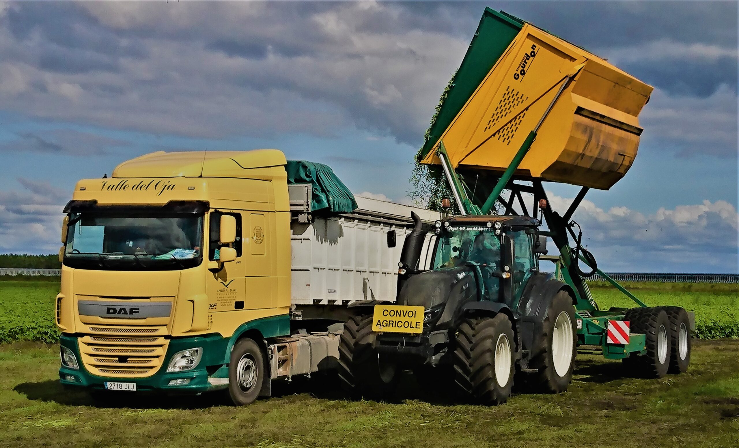 TBG 275