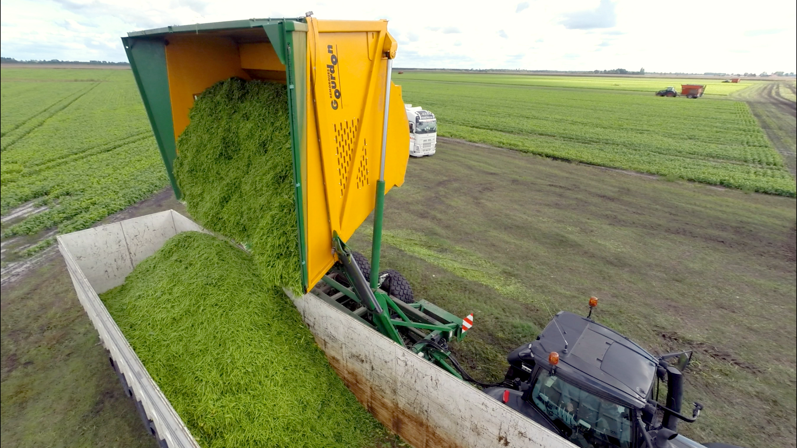 TBG 275